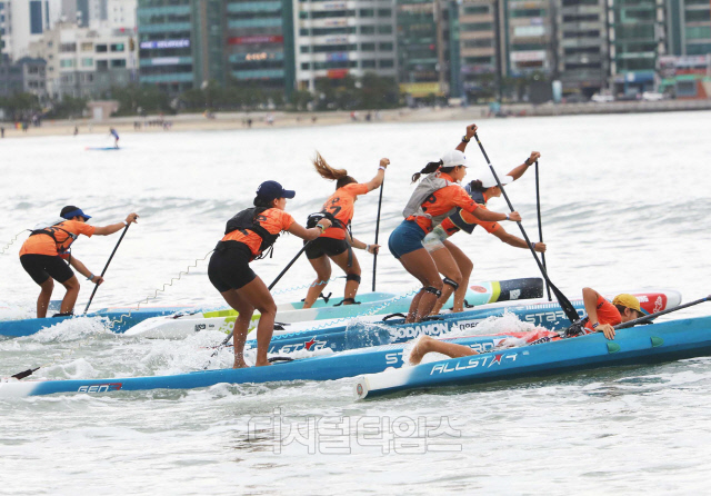 [사진제공=KAPP(대한패들서프 프로협회)]